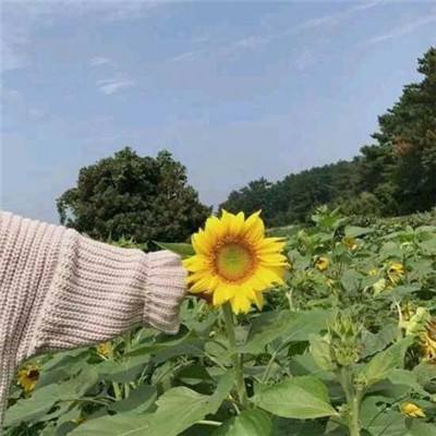 屠龙之战官方版下载